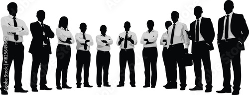 Business team silhouette, corporate professionals, leadership concept, teamwork diversity, office attire, standing pose, unity, success, strategy, collaboration, career growth