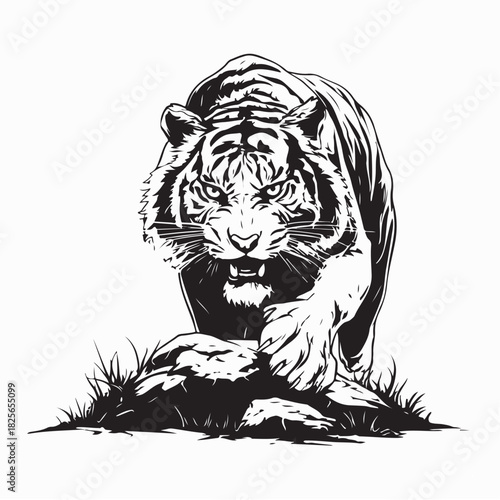Tiger Prowling on Rock, Ready to Strike Vector Illustration