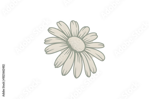 Simple Daisy: A delicate illustration captures the essence of a daisy, with its gentle petals and inviting center, bringing a touch of nature's purity to the scene.