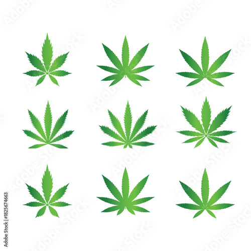 cannabis weed leaf