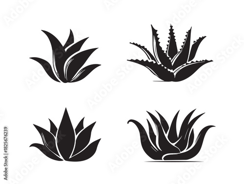 Elegant aloe plant silhouette set with beautiful shapes