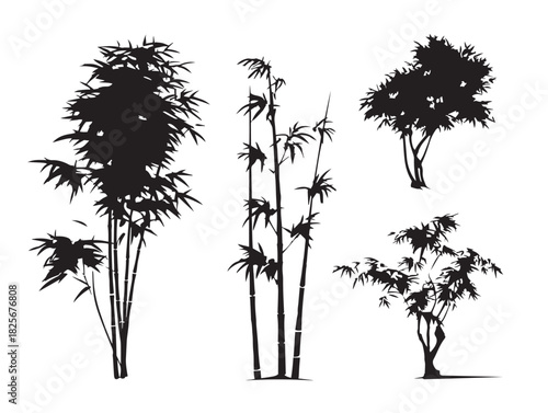 Stunning dynamic bamboo silhouette set with bold contrasts