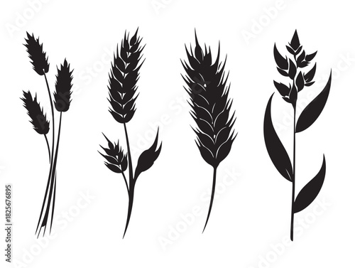 Elegant stunning barley silhouette group for natural artwork
