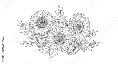 Beautifully detailed black and white bouquet of sunflowers and leaves, illustrated in a delicate dotwork and line art style for a timeless look.