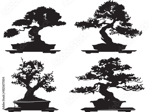 Gorgeous stunning bonsai tree silhouette with simple style