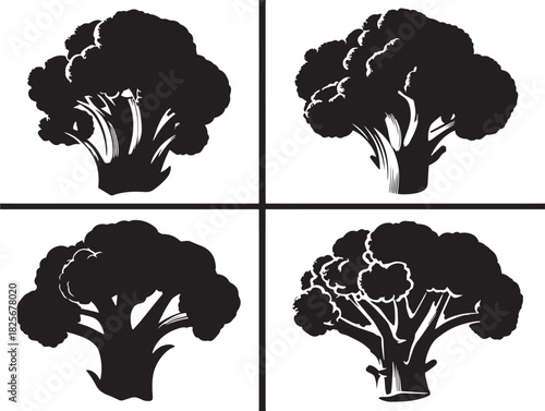 Beautiful broccoli silhouette icon set with elegant organic style