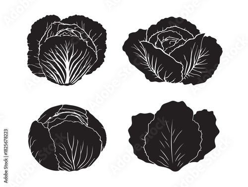 Elegant cabbage vegetable silhouettes created in clean minimal style
