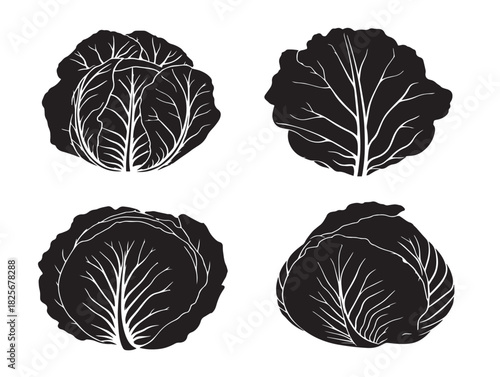 Beautiful cabbage icon collection featuring nice silhouette artwork