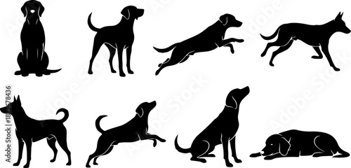Running & Playing Dog Silhouette Set – Vector Pet Illustrations