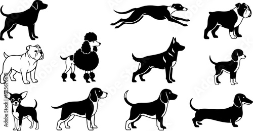 Running & Playing Dog Silhouette Set – Vector Pet Illustrations