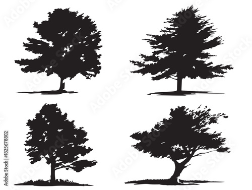 Nice cedar silhouette set with clean and elegant vector forms