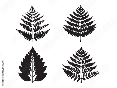 Gorgeous fern silhouette icon drawn with beautiful detailed vector work