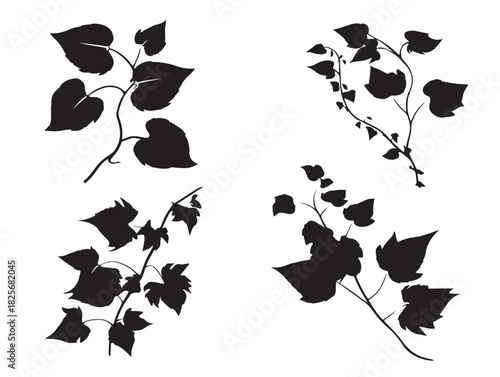 Gorgeous ivy leaf silhouette icon with beautiful botanical detail