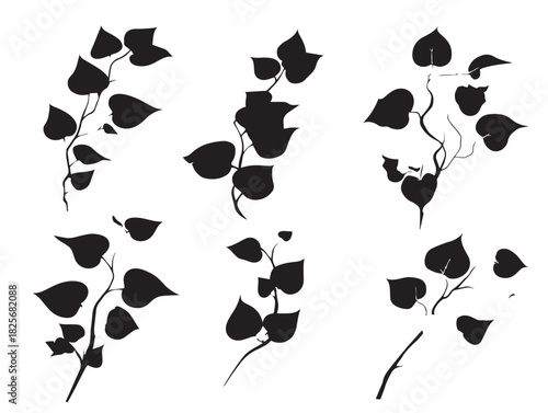 Elegant ivy silhouette collection featuring stunning natural vine artwork