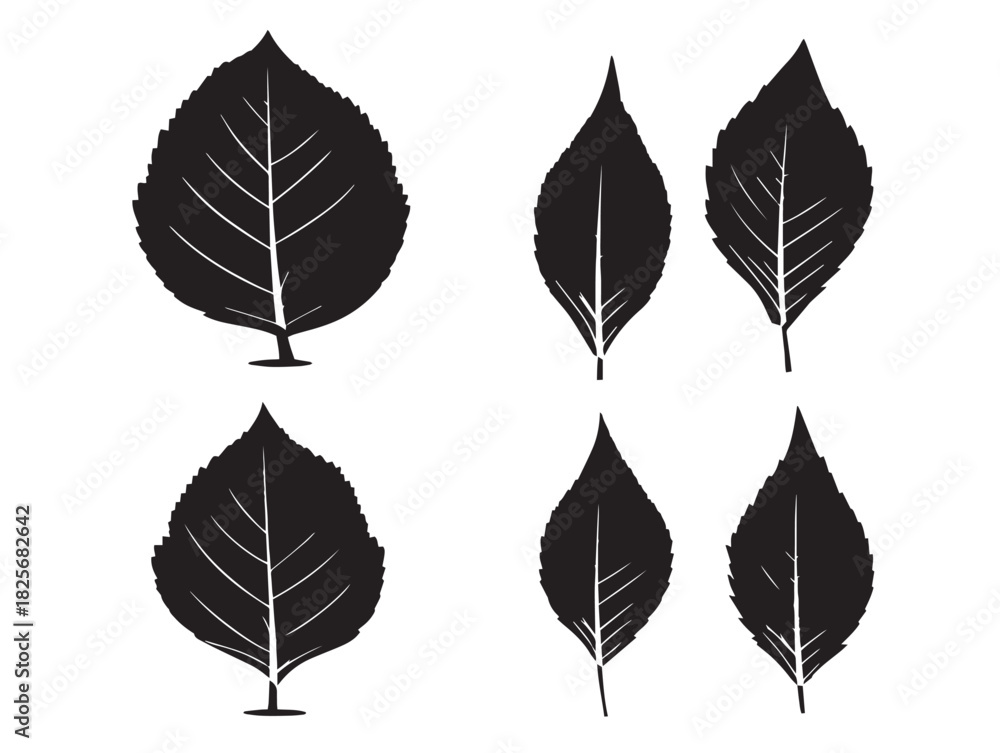 Obraz premium Beautiful leaf silhouette icon set with elegant natural vector artwork