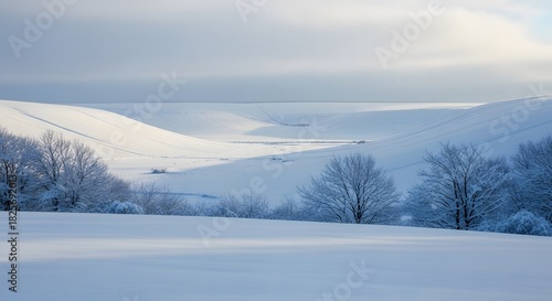 Wallpaper Mural Winter Wonderland A Snowy Landscape Scene with Trees and Rolling Hills Covered in White Background Torontodigital.ca