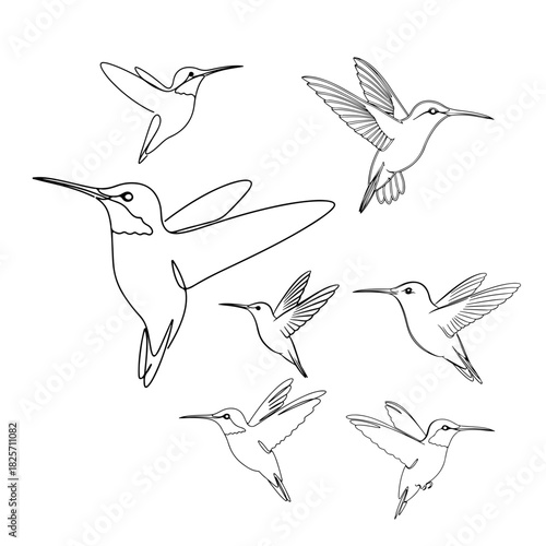 Thin linear silhouette of Hummingbird hovering with long beak extended