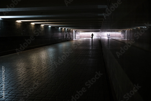 Shadowy figure walking through an empty tunnel in soft daylight