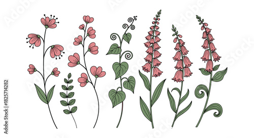 A collection of hand-drawn vintage-style botanical illustrations featuring various pink flowers and green foliage, perfect for nature-themed designs.
