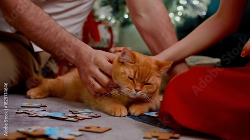 family cat cuddle, gentle family bonding with feline on festive floor, loving family interaction featuring ginger feline amid holiday decorations and playful moments