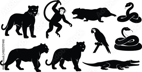 Silhouette collection of jungle animals lion monkey tiger snake parrot and crocodile