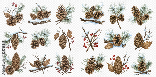 Collection of watercolor winter botanical elements featuring pine cones, evergreen branches, twigs, and red berries, perfect for holiday decorations.