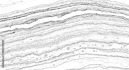 Abstract Black and White Marble Texture Background.