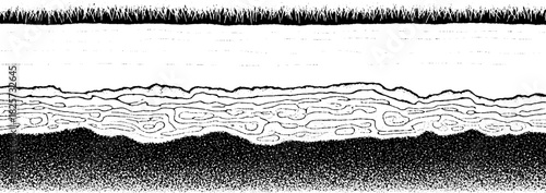 Monochrome Landscape Depicting Soil Layers and Vegetation.