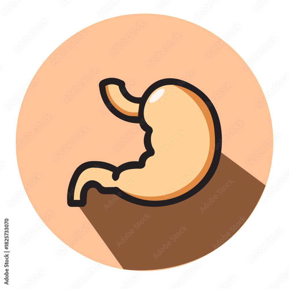 Obraz premium Illustration vector graphic of Stylized Human Stomach Organ Icon Representing Digestion and Health Icon