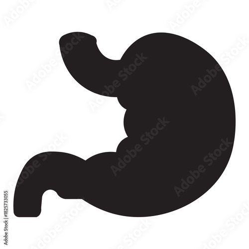 Illustration vector graphic of Anatomical illustration of the human stomach Icon Glyph