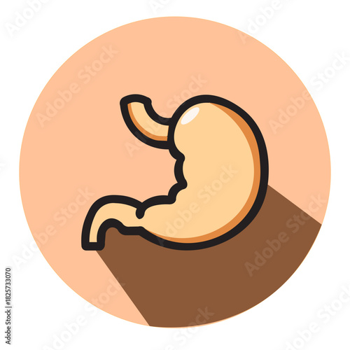 Illustration vector graphic of Stylized Human Stomach Organ Icon Representing Digestion and Health Icon