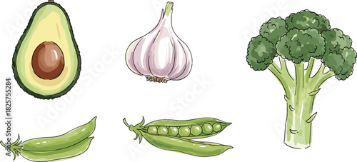 Hand-drawn vegetable illustration set featuring avocado, garlic, peas, and broccoli, fresh organic food artwork in clean artistic vector style