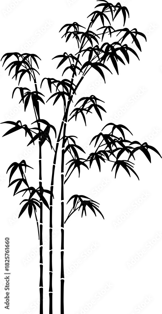 Obraz premium bamboo Design illlustration on white background