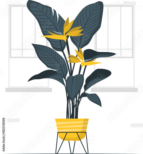 A vibrant bird of paradise plant in a yellow pot