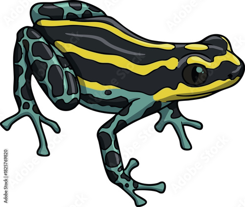 Vector illustration of Ranitomeya flavovittata, a small Amazon poison dart frog with bright yellow and black patterns