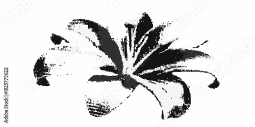 Abstract black and white lily flower illustration on a white background