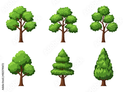 Set of 6 Diverse Cartoon Vector Tree Illustrations - Flat Design Foliage and Canopy Collection