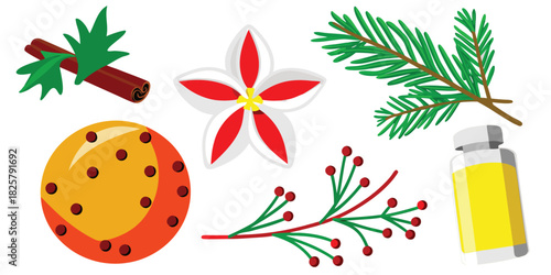 Cinnamon spice flower pine orange berries essential oil holiday christmas winter