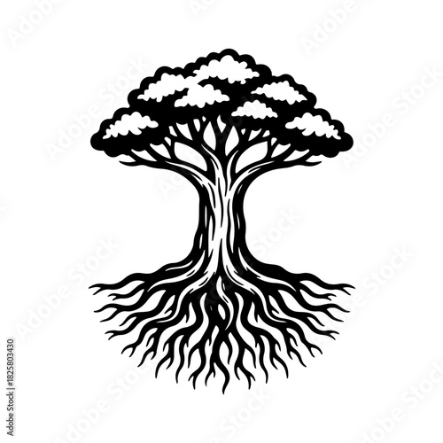 A black and white illustration of a robust old tree with deep, sprawling roots, symbolizing the wisdom, deep experience, and strong foundation of the elderly and longevity