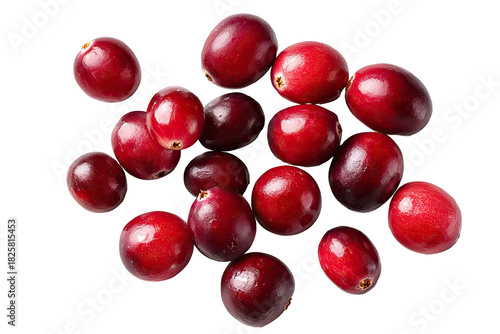 Wallpaper Mural A pile of fresh, bright red cranberries on a black background Torontodigital.ca