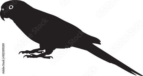 Cute pet parakeet silhouette vector flat illustration design