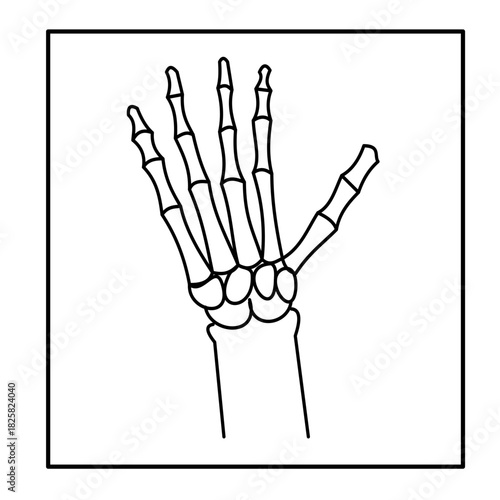 hand finger bones xray carpal bones radiology medical icon