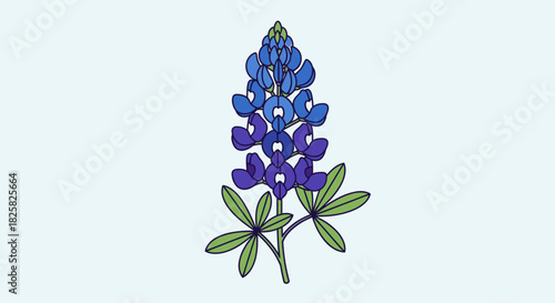 Vector Bluebonnet Clipart – Texas Wildflower Illustration for Spring Design