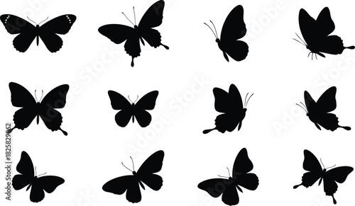 Twelve black butterfly silhouettes in various poses