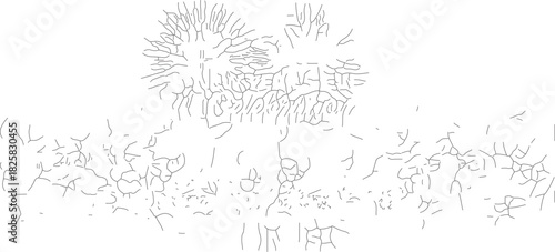 Close-up of a dandelion seed head with delicate seeds ready to disperse.