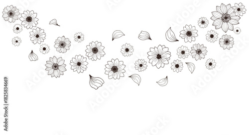 Graceful arc of falling flowers and petals in a delicate black and white line art style on a clean white background.