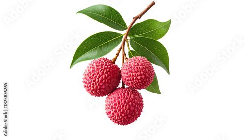 Lychee bunch three fruits, green leaves, isolated