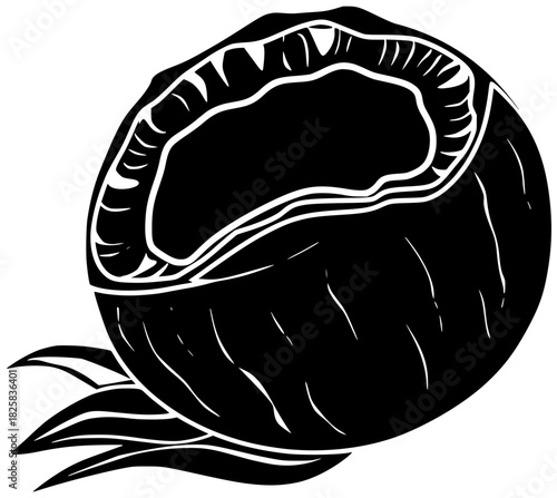 coconut illustration fruit silhouette tropical logo fresh icon food outline half natural vegetarian white coco healthy shell exotic nut shape women vector graphic background