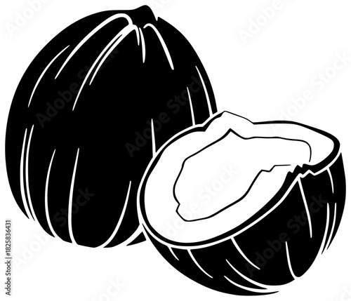 coconut illustration fruit silhouette tropical logo fresh icon food outline half natural vegetarian white coco healthy shell exotic nut shape women vector graphic background