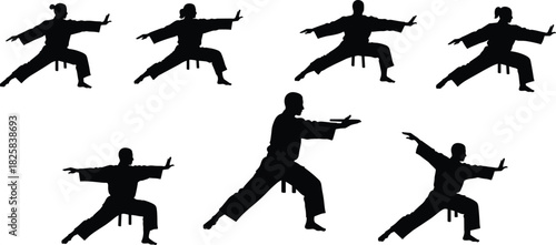 Silhouette of martial artists practicing karate poses, traditional combat training, discipline and strength workout, self defense and martial arts practice background
